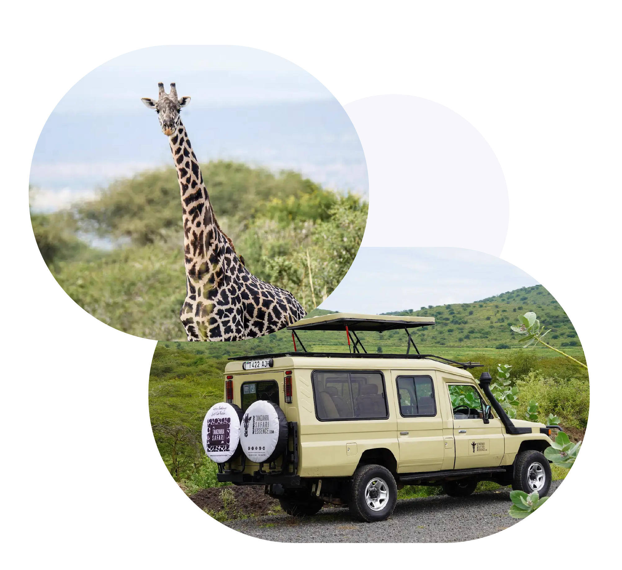 About My Tanzania Safari App