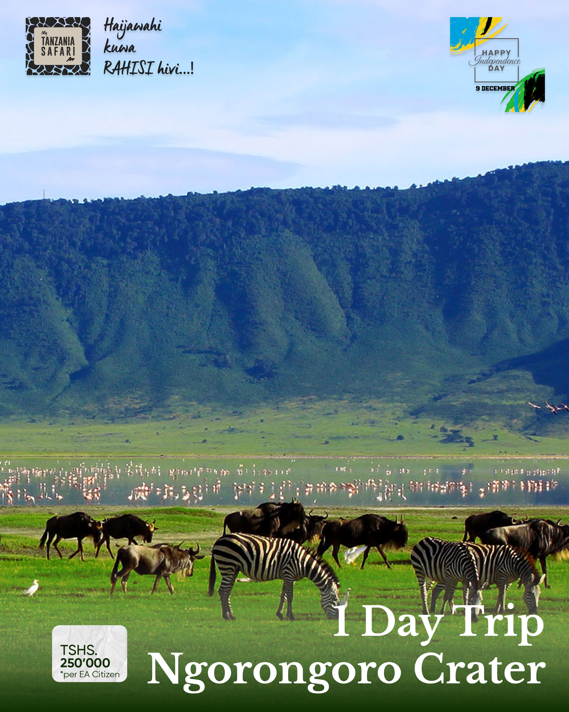 Independence Day - Ngorongoro Day Trip