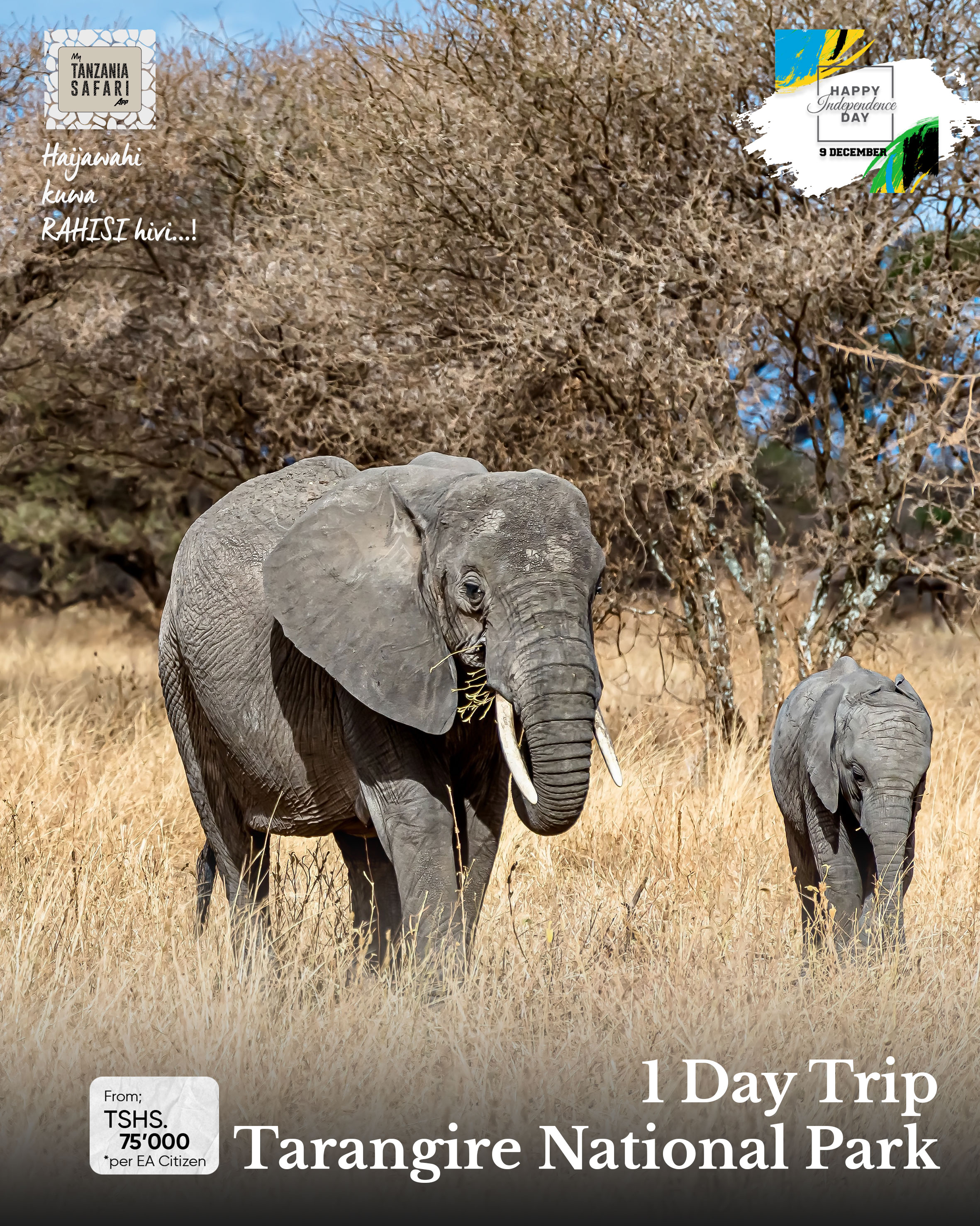 9 Disemba Uhuru Day Trip - Hifadhi ya Taifa ya Tarangire