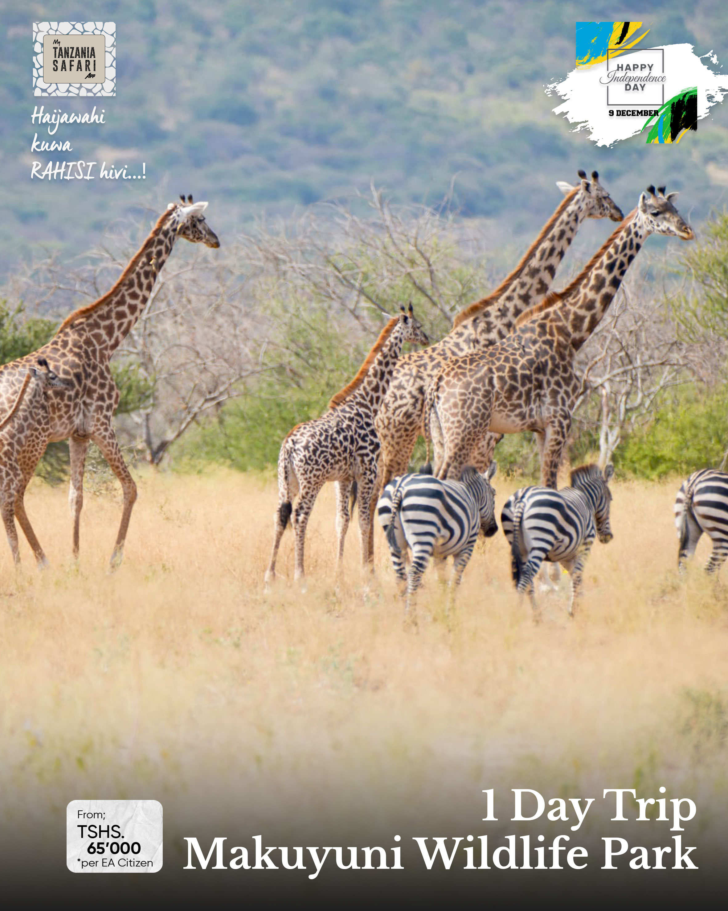 Twende Makuyuni Wildlife Park - 9 Disemba Uhuru Day