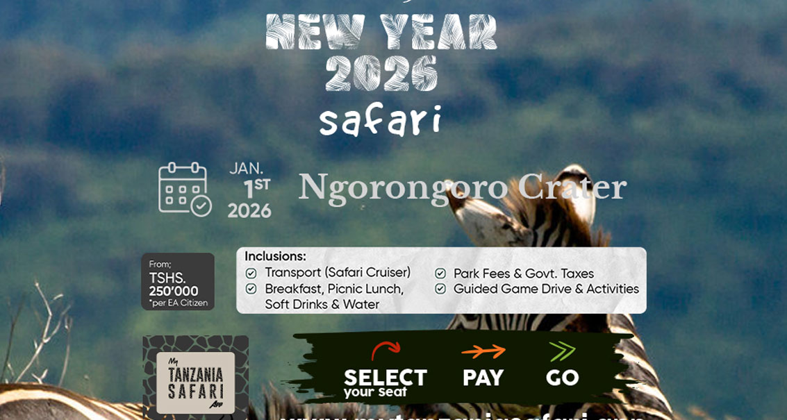 Mwaka Mpya 2026 Day Trip - Ngorongoro Kreta