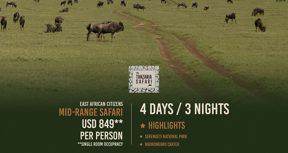 Likizo ya Serengeti - 4Days/3Nights (Single Room Occupancy)