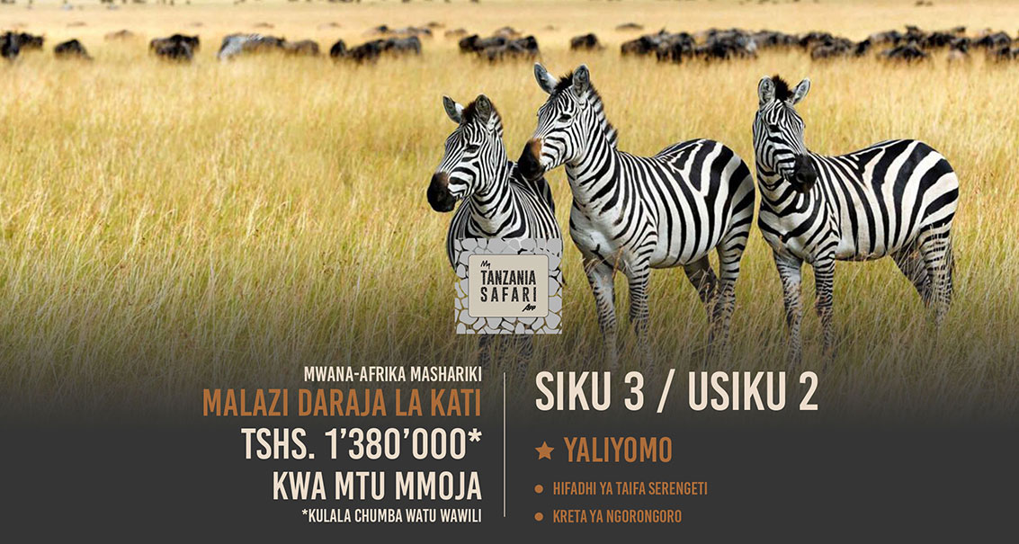 Disemba Serengeti SIKU 3 (Chumba Cha Kulala Wawili)