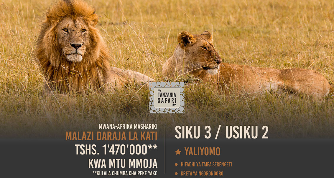 Disemba Serengeti SIKU 3 (Chumba Cha Kulala Peke Yako)