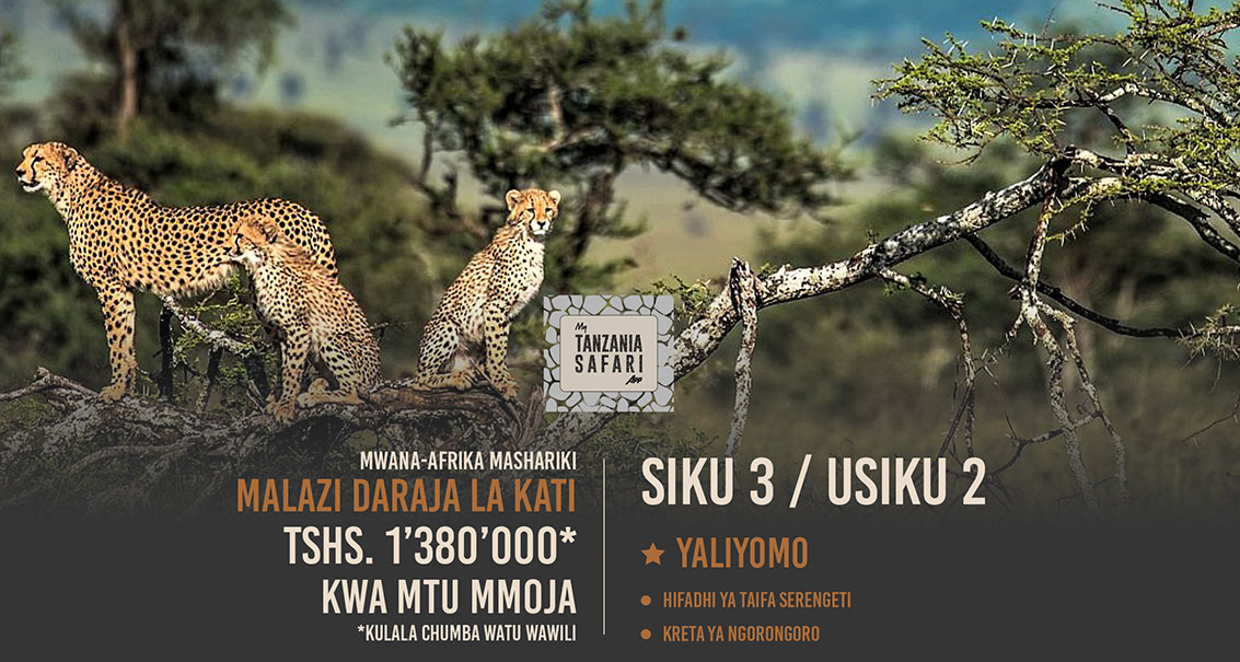 SIKU 3 Disemba Serengeti (Chumba Cha Kulala Wawili)