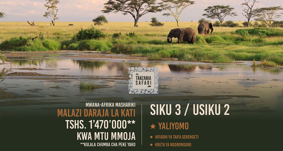 SIKU 3 Disemba Serengeti (Chumba Cha Kulala Peke Yako)