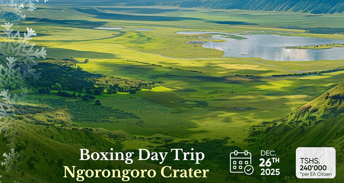 Ngorongoro Crater Trip - Dec. 26, Boxing Day