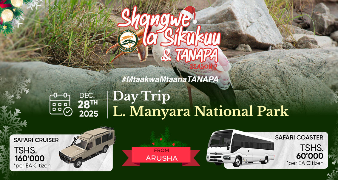 Shangwe la Sikukuu na TANAPA - Safari ya Siku Moja – Jumapili ya Mwisho wa Mwaka 2025 | Arusha → Lake Manyara National Park
