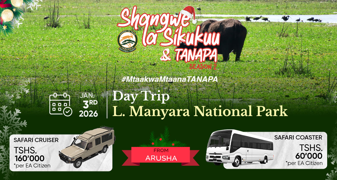 Jumamosi ya Kwanza ya Mwaka, Jan. 3, 2026 | Lake Manyara National Park Day Trip (from Arusha) - Shangwe la Sikukuu na TANAPA.