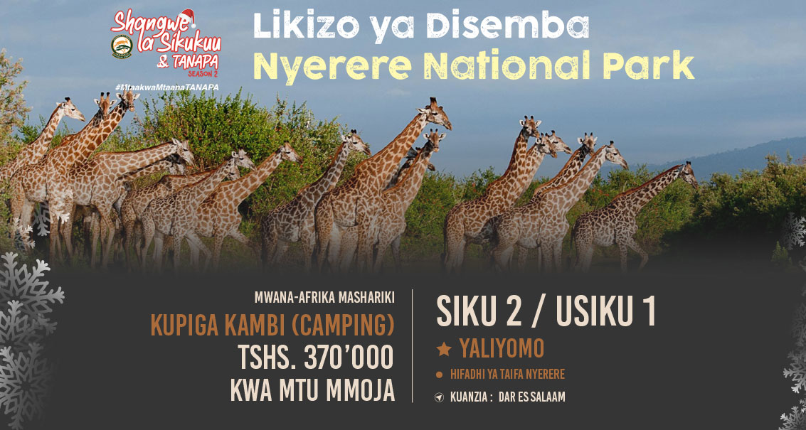 2 Days 1 Night Camping Safari by AfriRoots | Hifadhi ya Nyerere