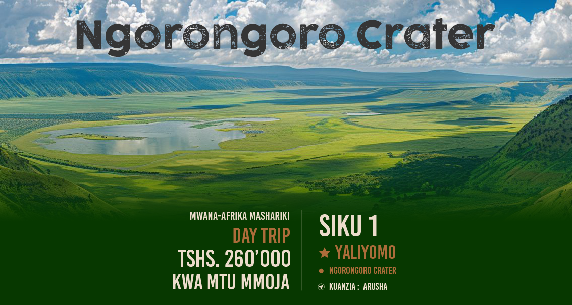Day Trip - Ngorongoro Crater (from Arusha)